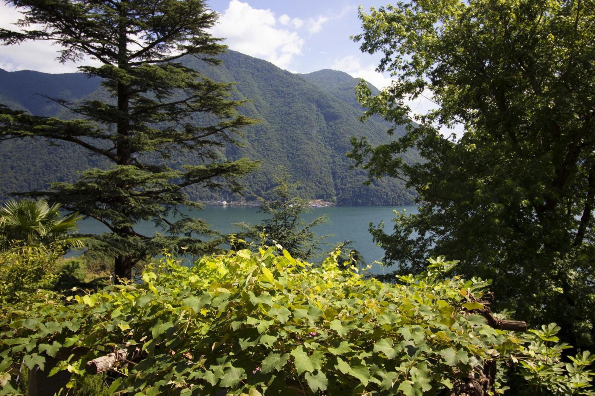 La Castignola Con Vista Lago Di Lugano E Giardino Condiviso Apartment Exterior photo