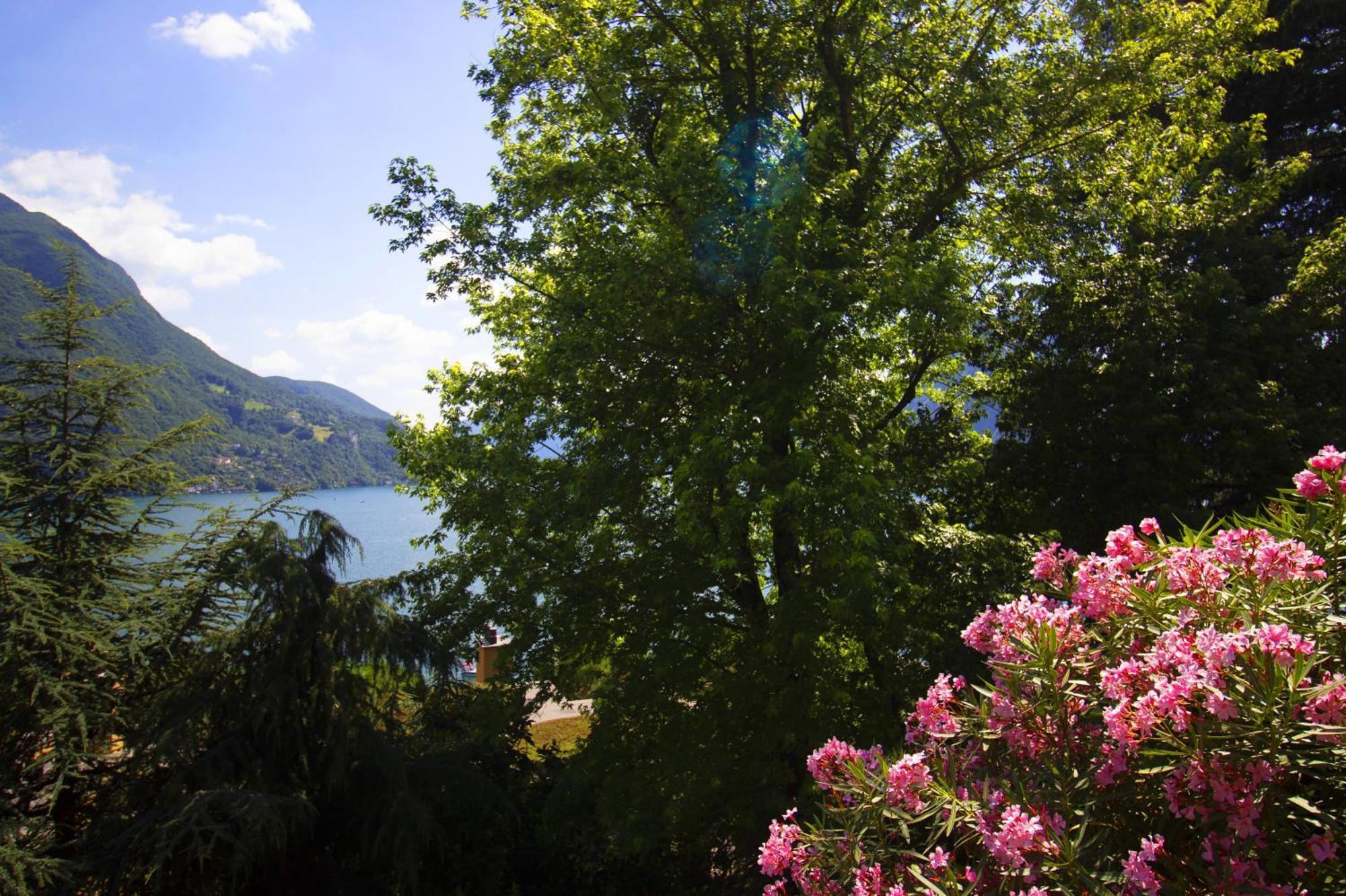 La Castignola Con Vista Lago Di Lugano E Giardino Condiviso Apartment Exterior photo